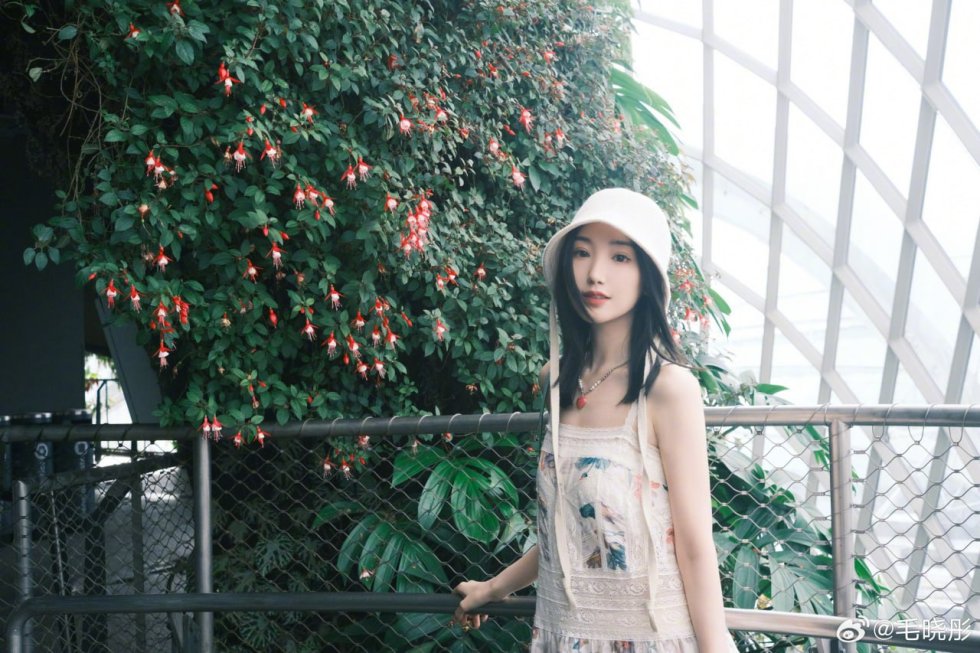 包养关系风险分析